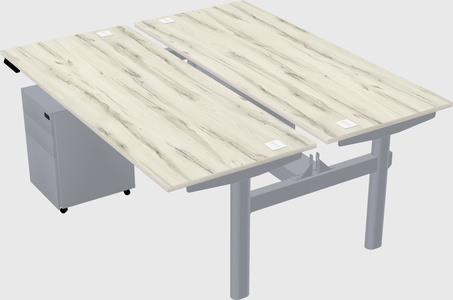 Shared electric desk