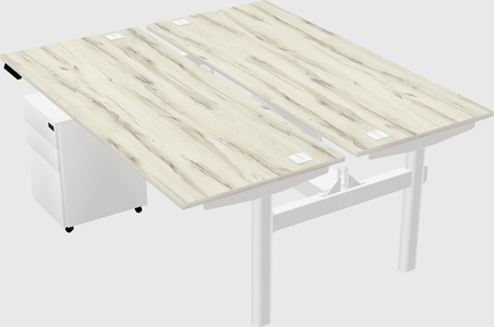 Shared electric desk