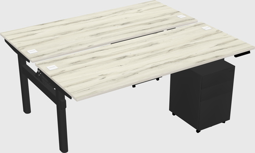 Shared electric desk