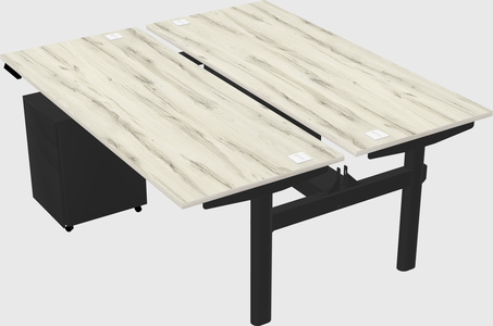 Shared electric desk