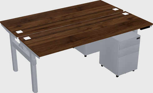 Shared electric desk