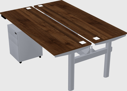 Shared electric desk