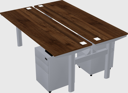 Shared electric desk
