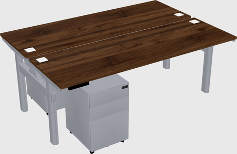 Shared electric desk