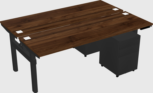 Shared electric desk