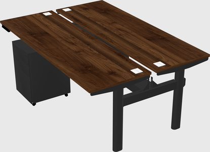Shared electric desk