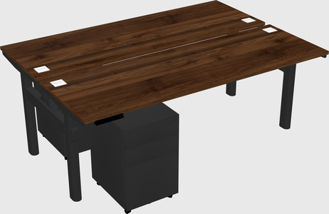 Shared electric desk