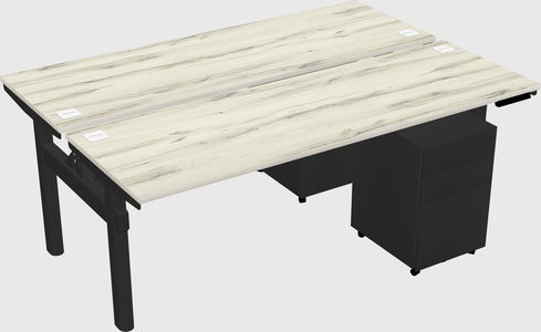 Shared electric desk