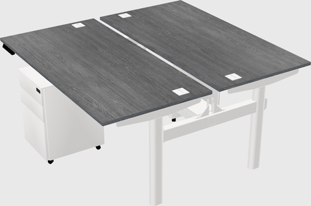 Shared electric desk