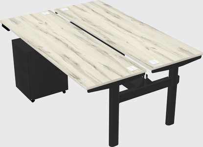 Shared electric desk
