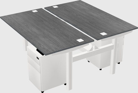 Shared electric desk