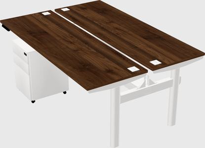 Shared electric desk