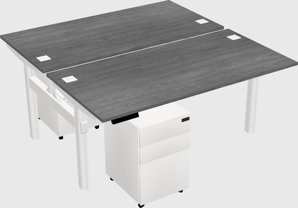 Shared electric desk