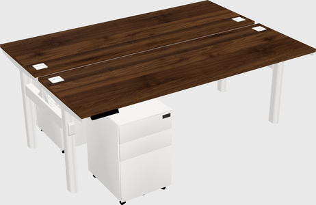 Shared electric desk
