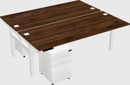 Shared electric desk