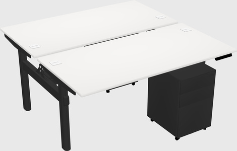 Shared electric desk