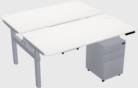 Shared electric desk