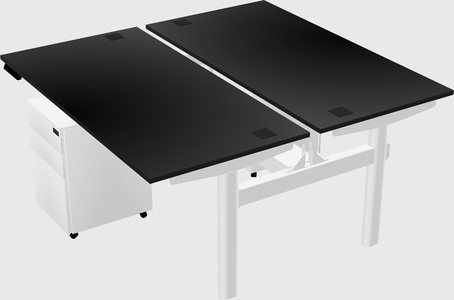 Shared electric desk