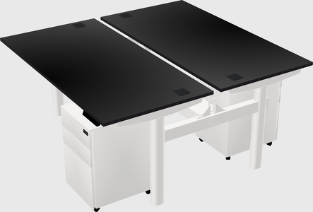 Shared electric desk