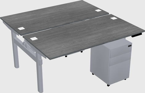 Shared electric desk