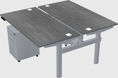 Shared electric desk