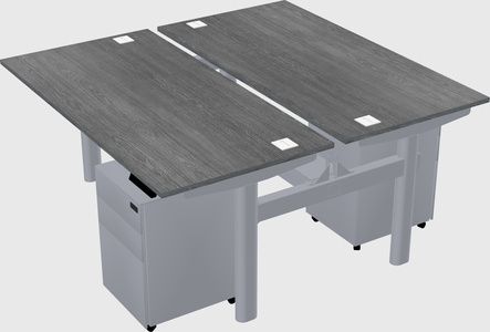 Shared electric desk