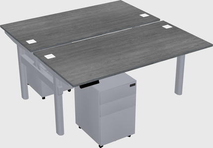 Shared electric desk