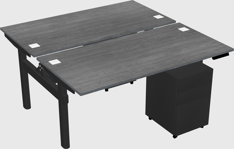 Shared electric desk