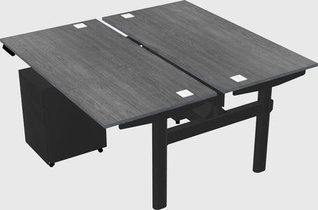 Shared electric desk