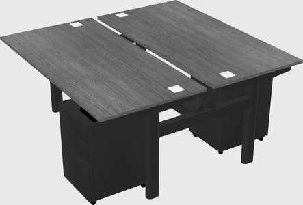 Shared electric desk