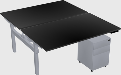 Shared electric desk