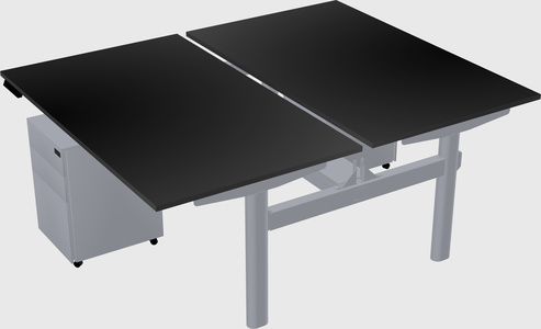 Shared electric desk