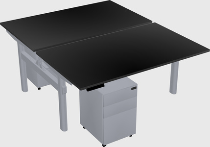 Shared electric desk