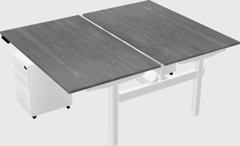 Shared electric desk