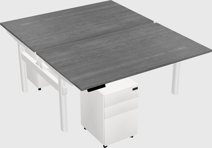 Shared electric desk