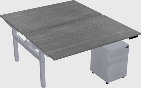 Shared electric desk