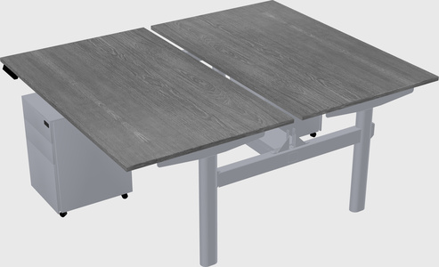 Shared electric desk