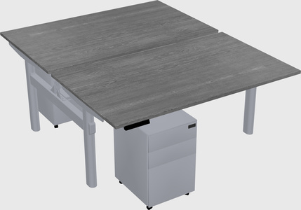 Shared electric desk