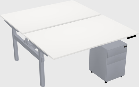 Shared electric desk