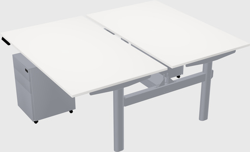 Shared electric desk