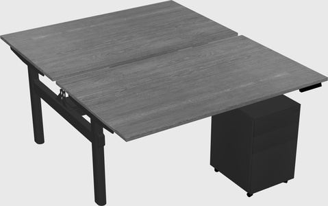 Shared electric desk