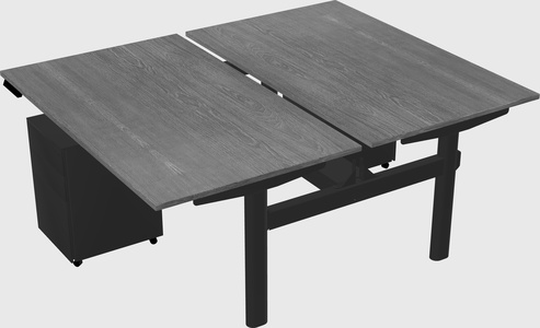 Shared electric desk
