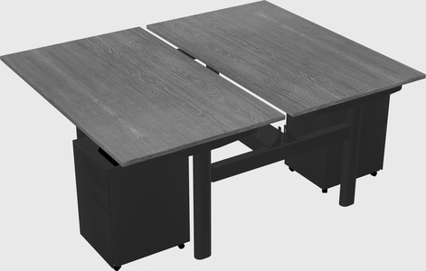 Shared electric desk