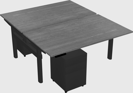 Shared electric desk
