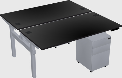 Shared electric desk