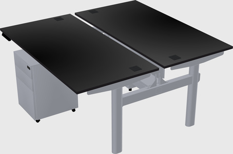Shared electric desk