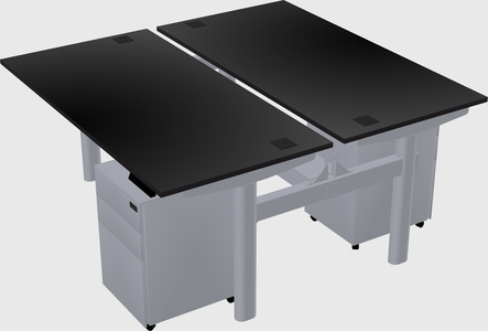 Shared electric desk