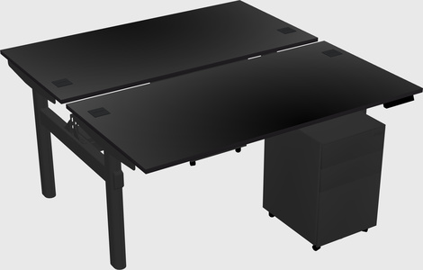 Shared electric desk