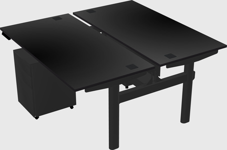 Shared electric desk