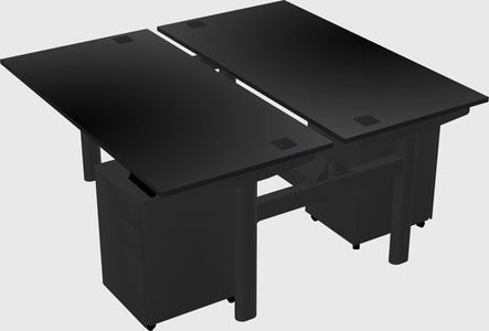 Shared electric desk